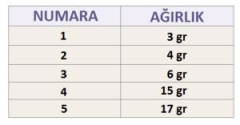 Effe Kaşık Aglıa Spınner Yaprak Meps No:3 - 6 Gr